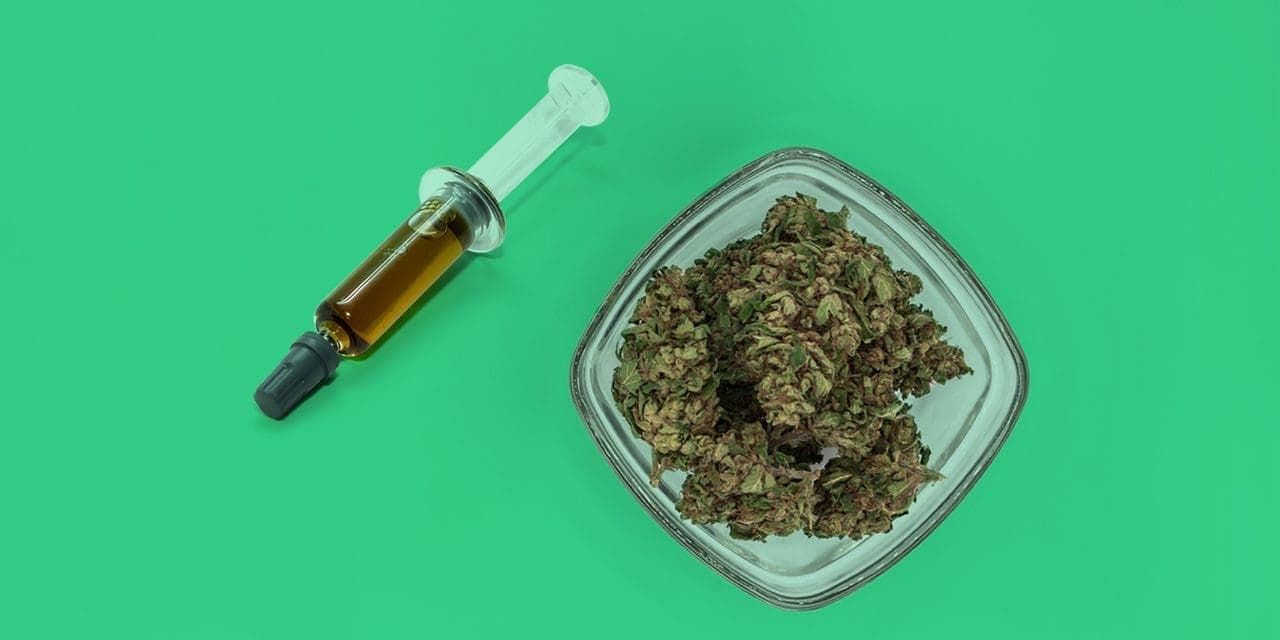 juringa de aceite junto a un plato con marihuana sobre fondo verde Rick Simpson Oil (RSO)